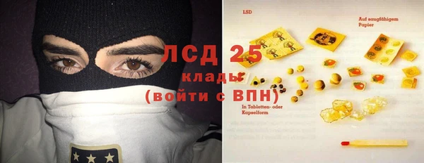ПСИЛОЦИБИНОВЫЕ ГРИБЫ Алексеевка