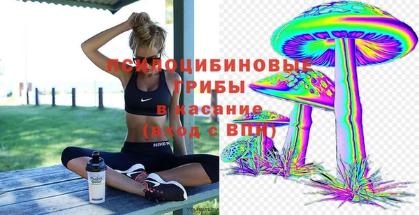 ПСИЛОЦИБИНОВЫЕ ГРИБЫ Алексеевка