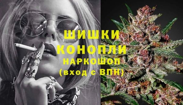 ПСИЛОЦИБИНОВЫЕ ГРИБЫ Алексеевка