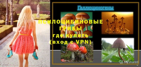 эйфоретик Алзамай