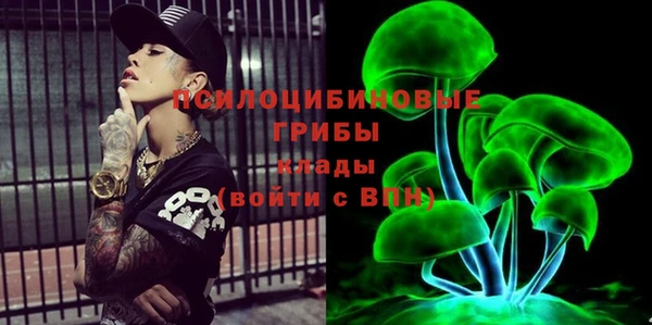 ПСИЛОЦИБИНОВЫЕ ГРИБЫ Алексеевка