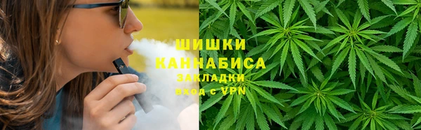 ПСИЛОЦИБИНОВЫЕ ГРИБЫ Алексеевка