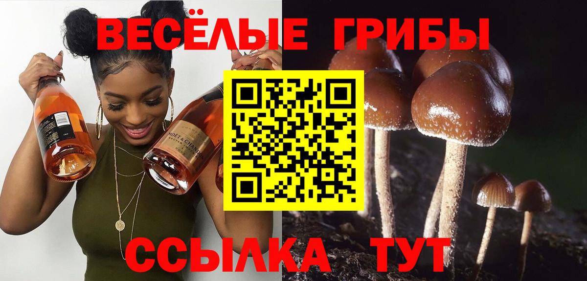 Галлюциногенные грибы Psilocybe Красноуфимск